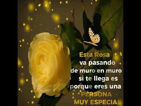 14 de noviembre de 2018