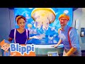 Giant Jellyfish Aquarium Blippi Shows For Kids Explore With Me