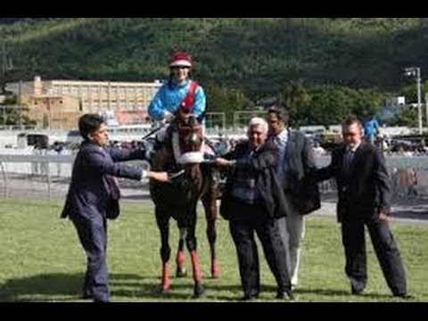 Bulsara: THE TRIPLE CROWN DUCHESS OF YORK CUP [2014]