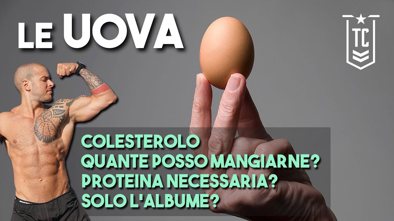 Watch Now LE UOVA - Quante posso mangiarne - Colesterolo e Grassi - Albume LE UOVA - Quante posso mangiarne - Colesterolo e Grassi - Albume