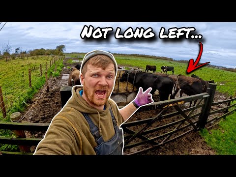 THE MAIN MAN HAS BIG PROBLEMS... SOME COME IN... SOME GO OUT!