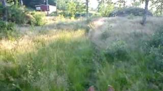 Jag är så ensam i min sadel...