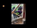 Voetballer raakt gewond bij vechtpartij tussen Right-Oh en SC Hoge Vucht