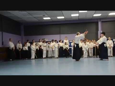 Aikido Stage Jeunes Lunéville 3 Février 2019 part1