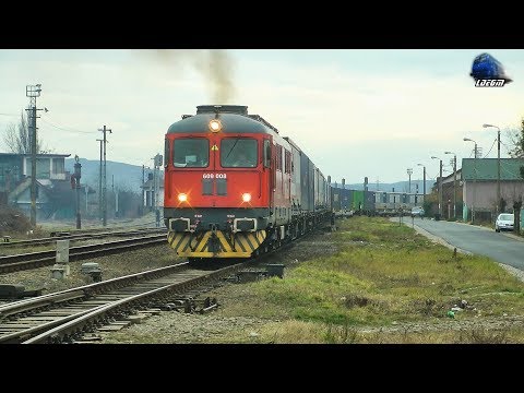 060-DA 609 008-1 H-FOX & Tren FOX Rail Intermodal Train in Oradea Est Triaj - 01 February 2018