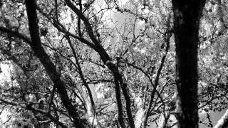 Jess Mills - Silent Space (C41 Remix)