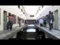 Inglewood Tongans - HARD IN THE PAINT (remix) (TCG) bK pK Klnx