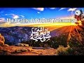 The Beauty Of Prophet Muhammad ﷺ Ustadh Wahaj Tarin