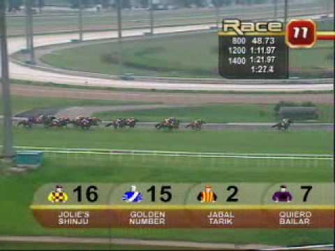 Jolie's Shinju The Amazing Mare