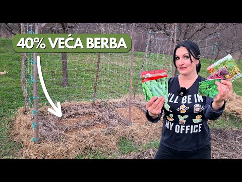 New Solution AGAINST CABBAGE BUGS