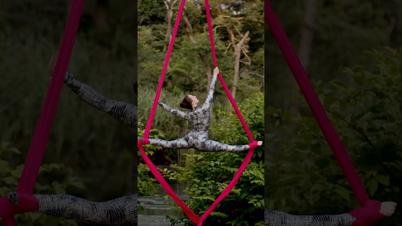 Promotional video thumbnail 2 for Jessica Lynn, Aerial and Performance Art