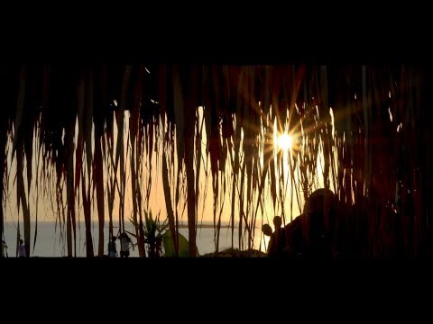 Padé , Herc Deeman and 2 violins live  (Ethnic Wave Party) [Aftermovie]