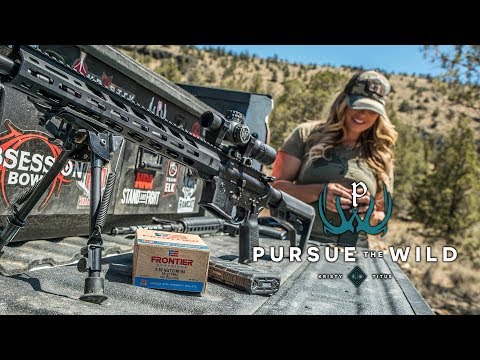 Frontier® Cartridge | Hornady® Bullet Performance Gel Testing