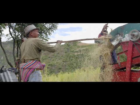 Trailer du film Sur le champ !
