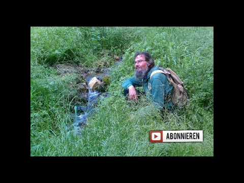 04+07.05.2022 #Wasser Themenvideo  #Irlmaier #Emoto #Wasseraufbereitung #Wasserkonservierung