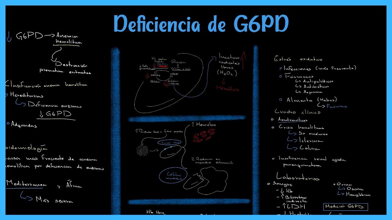 Comprendiendo la deficiencia de G6PD (Glucosa 6 Fosfato Deshidrogenasa)