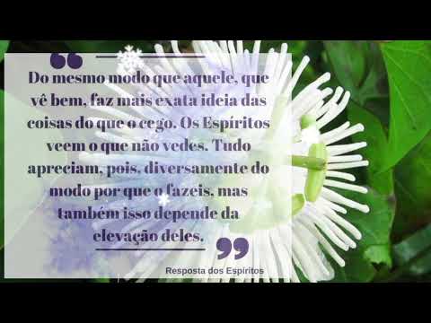 Pergunta 241 Livro dos Espíritos