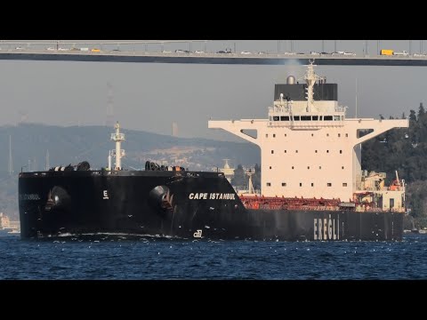 Ships in Istanbul Strait - November 28-29, 2020