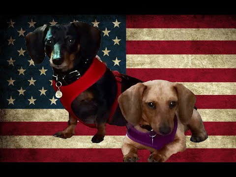 SHREK THE HODAG HUNTER and the Hodag Hunting Heros