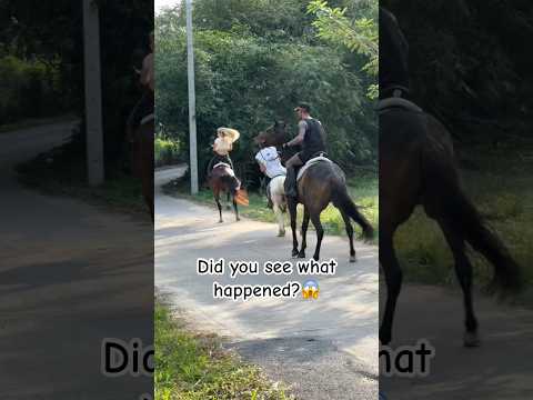 Did you see that? Ctto:eva #horse #equestrian #horseriding #fyp #viralshorts #trending #funny