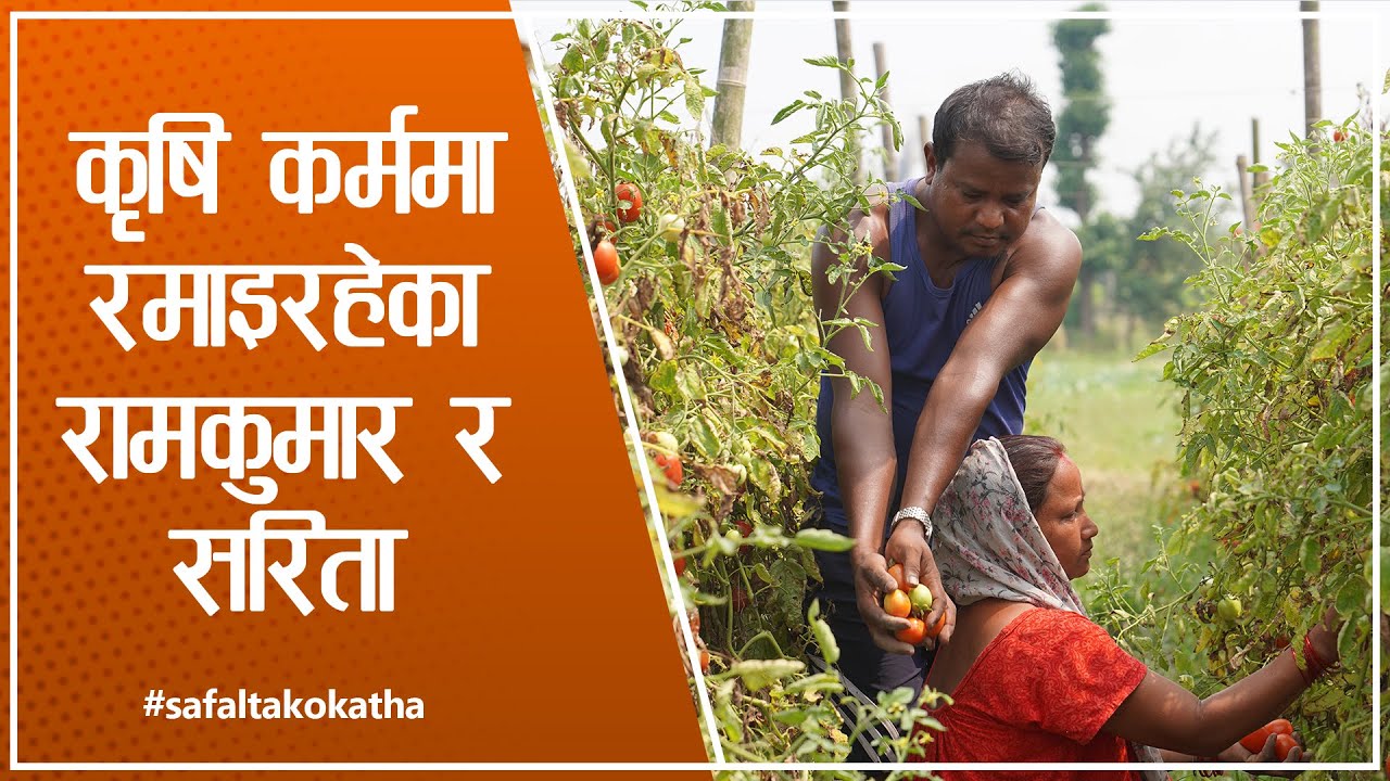 कृषि कर्ममा रमाइरहेका रामकुमार र सरिता II सफलताको कथा II