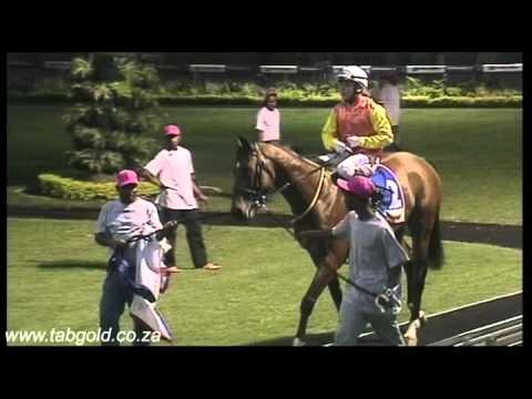 20151023 Greyville Race 2 won by FIRST SEA LORD