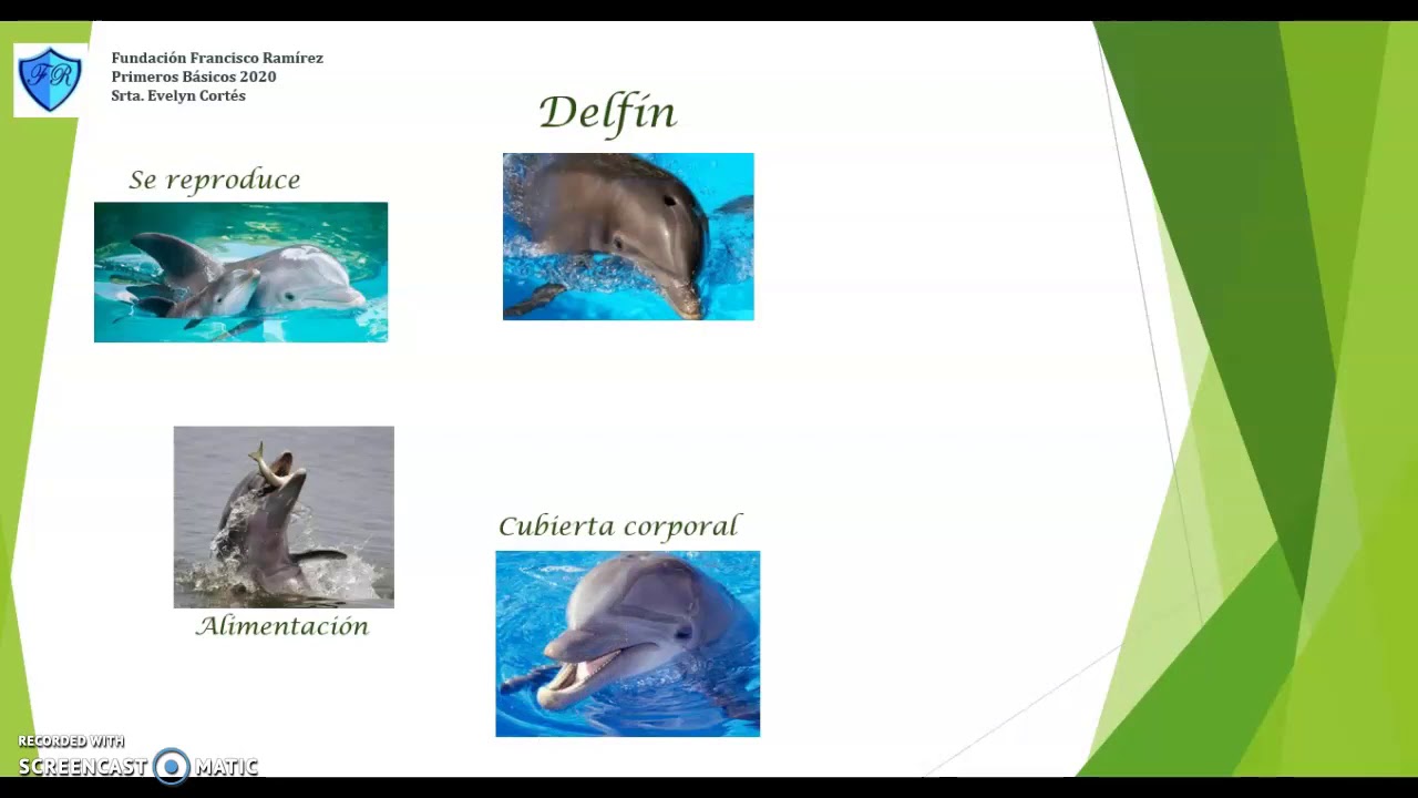 Ejemplo de Disertación sobre animales y sus características