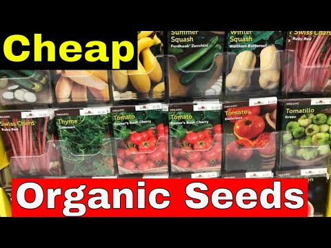 download lagu mp3 mp4 Pecan Extract Walmart, download lagu Pecan Extract Walmart gratis, unduh video klip Pecan Extract Walmart