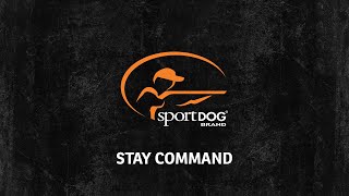 Tom Dokken - Stay command - www.sportdog.com