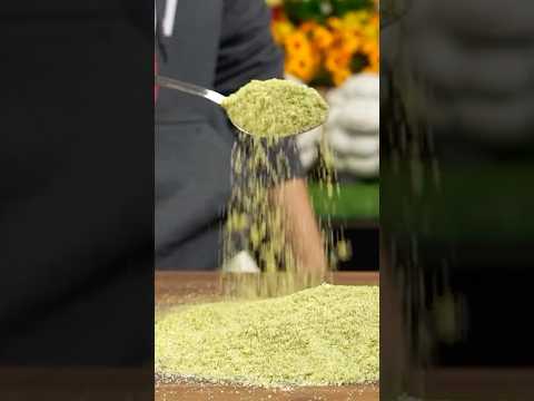 How To Make Rosemary Lemon Salt Recipe l How To Make Herb Infused Salt For Chicken Herb Salt #Shorts