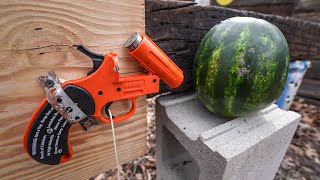Will A Flare Gun Shoot Shotgun Shells!