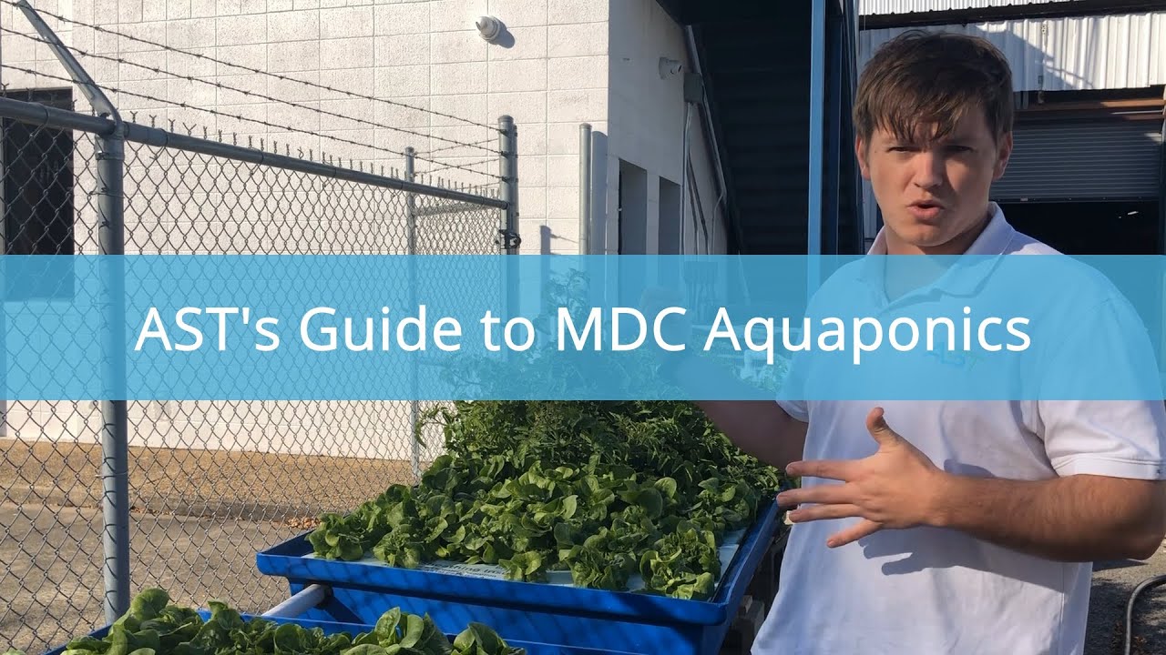 MDC Aquaponics: Dual Environment Control with AST's Decoupled Energy Efficient System