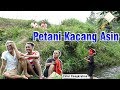 Curhatan Petani Kacang Asin Cak Percil Komedi