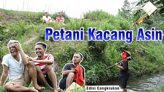 Download lagu Curhatan Petani Kacang Asin cak percil komedi... mp3