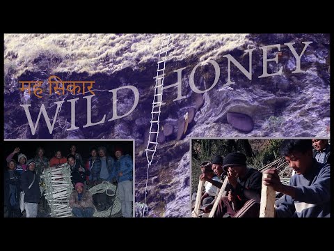 Honey Hunting in Nepal || Hallucinogen Honey Hunters || Documentary || मह सिकार
