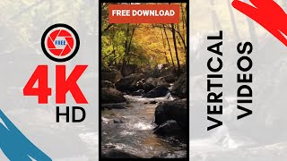 Download lagu Flowing stream water in the forest | Nature Beauty Footage | FREE non-copyright videos for creators mp3 Download lagu Flowing stream water in the forest | Nature Beauty Footage | FREE non-copyright videos for creators mp3
