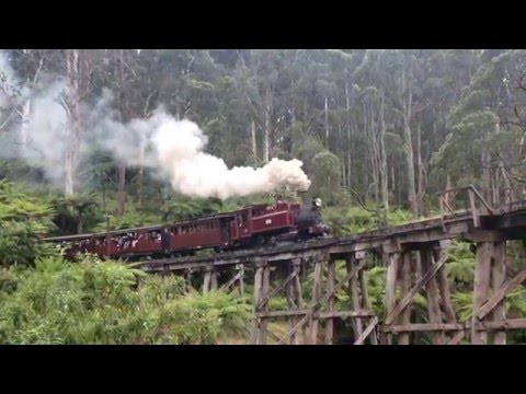 Puffing Billy Melbourne