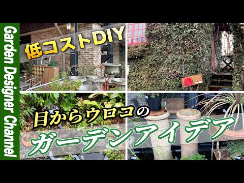 herbes-aromatiques-basilique-déco-intérieure