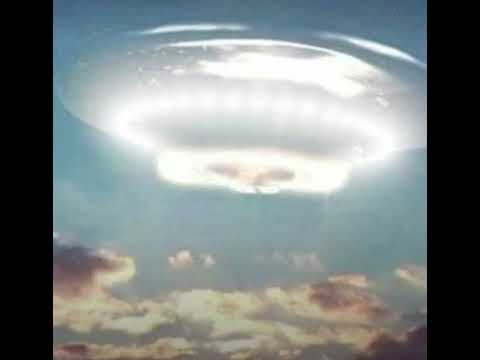 COLLETTIVA PLEIADIANA