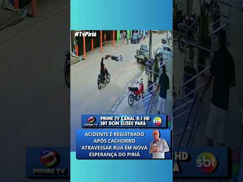 ACIDENTE É REGISTRADO APÓS CACHORRO ATRAVESSAR SUA EM NOVA ESPERANÇA DO PIRIÁ
