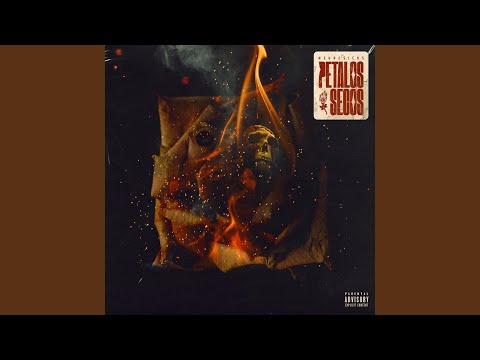 Estan Tan (feat. Sazú Knows & Neemeye)