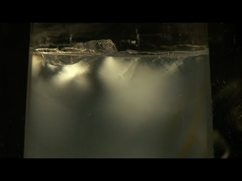 Laponite — scientific experiment #8.04 from Grains de bâtisseurs