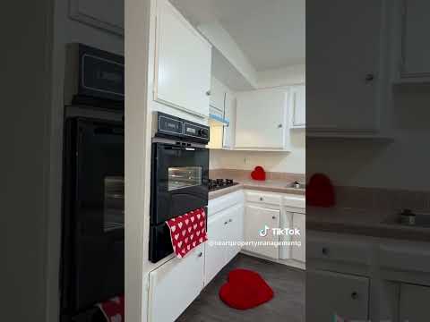 LB0245 - Video 2 of 2