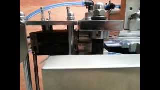 Automatic Alu Pvc Blister Packing Machine With Double Heads Pharmaceutical Blister Packer