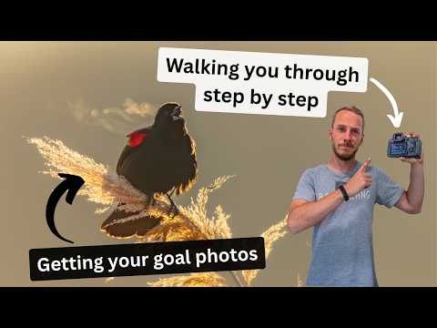 Turning your dream photos into reality: A step by step guide to wildlife photography