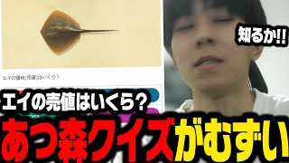 あつ森クイズのサイトが難しすぎた