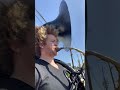 INSAINE TUBA OCTAVES Devon Taylor TUBARED Sousaphone