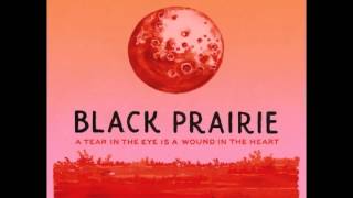 Black Prairie - Little Song Bird