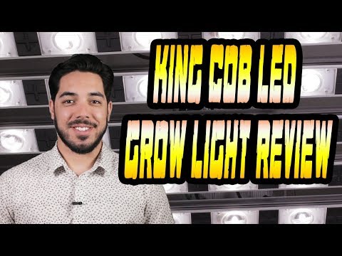 The King COB (Chip On Board) LED Grow Light Review