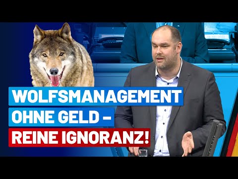 Wolfsmanagement ohne Geld – reine Ignoranz! - Stefan Schröder - AfD-Fraktion im Bundestag